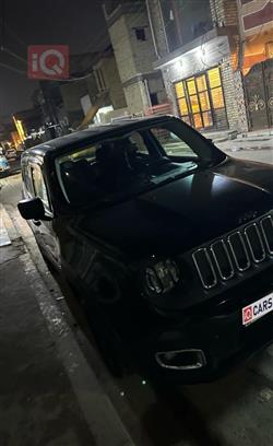 جيب رينيجيد